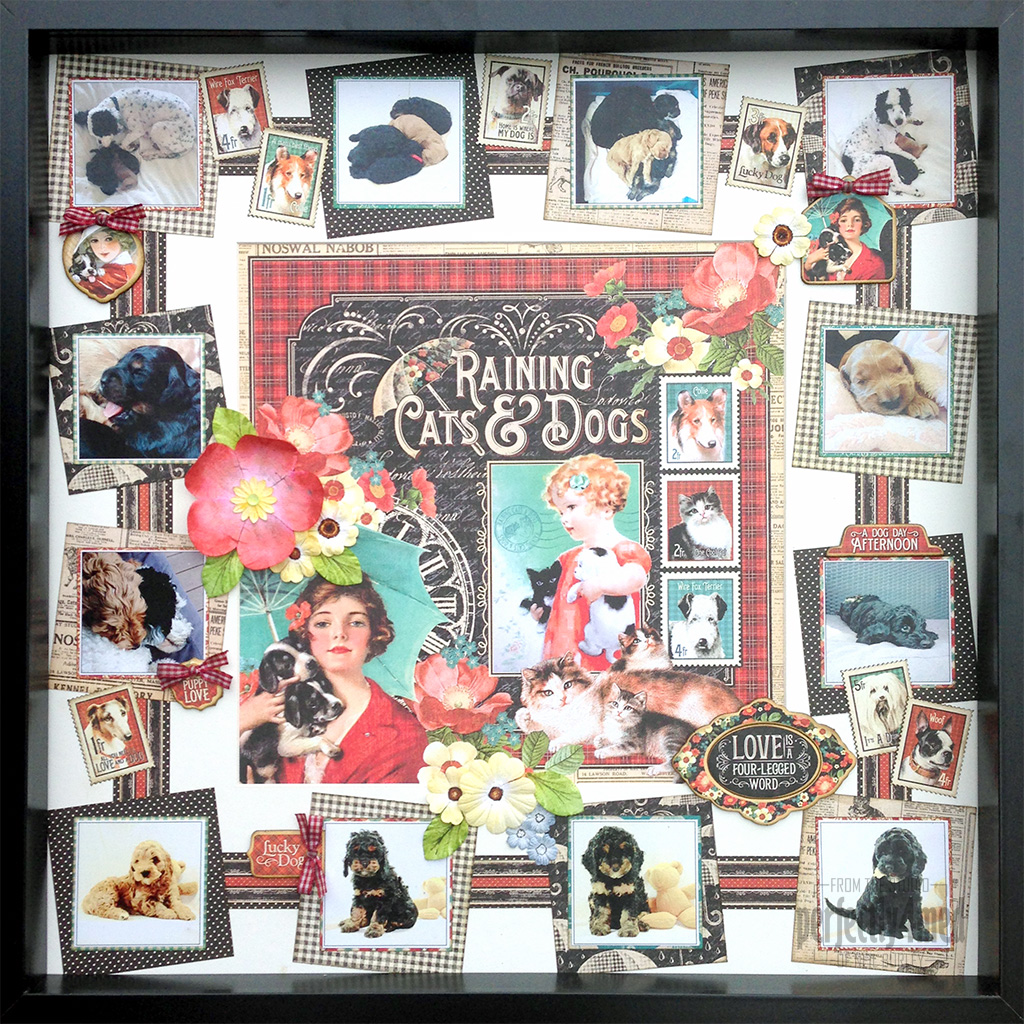 Raining Cats And Dogs for Jones Crafts Perfectly4med Artist At